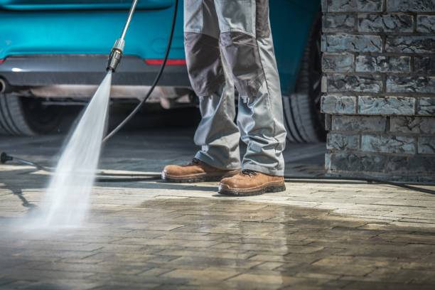 Best Dumpster Area Cleaning  in Ferguson, MO